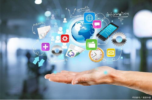 未來寵物護理新紀元 動物互聯網醫院系統的前沿科技探索